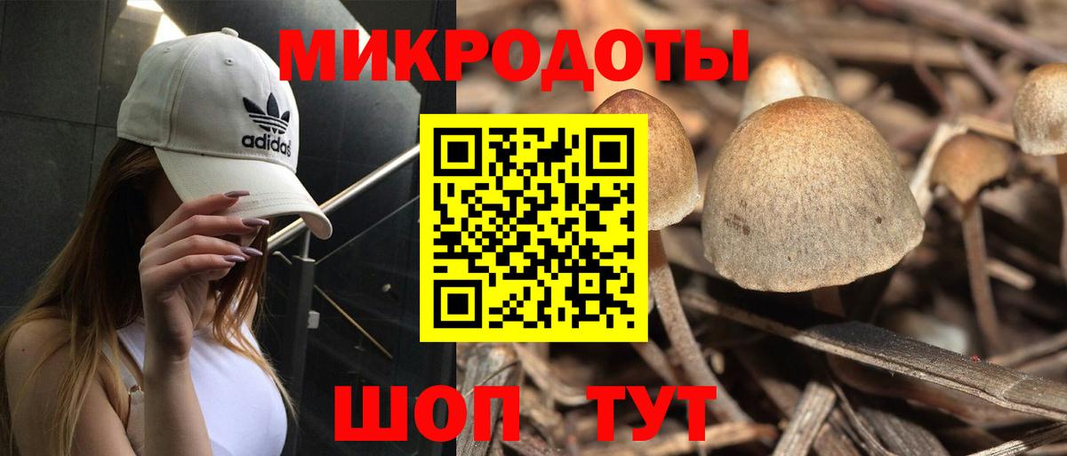 Уфа  Галлюциногенные грибы Psilocybe  Вход с VPN 